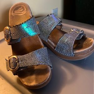 Irredesent Dansko clog sandals
